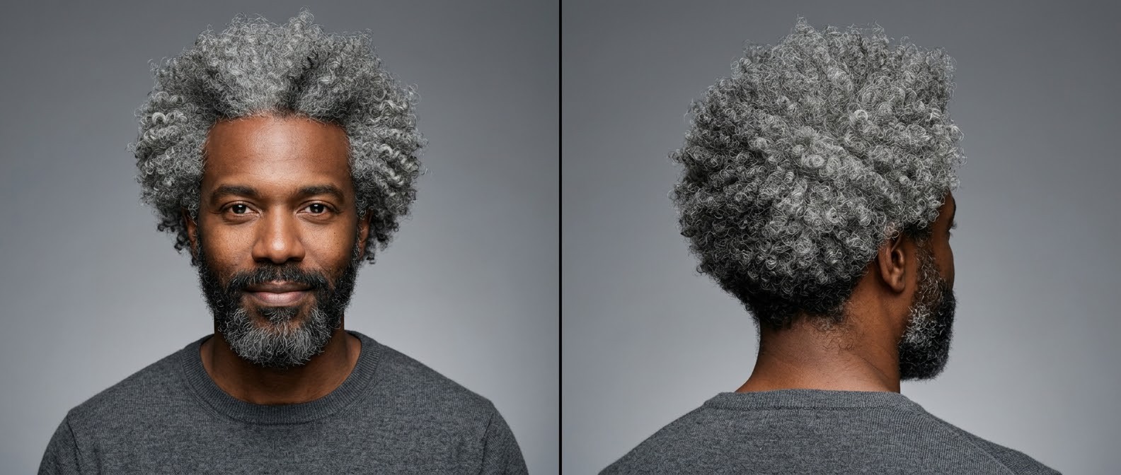 Dark-skinned man aged 35 to 45 with a very long, voluminous silver curly Afro and a neatly trimmed gray beard, looking directly at the camera.