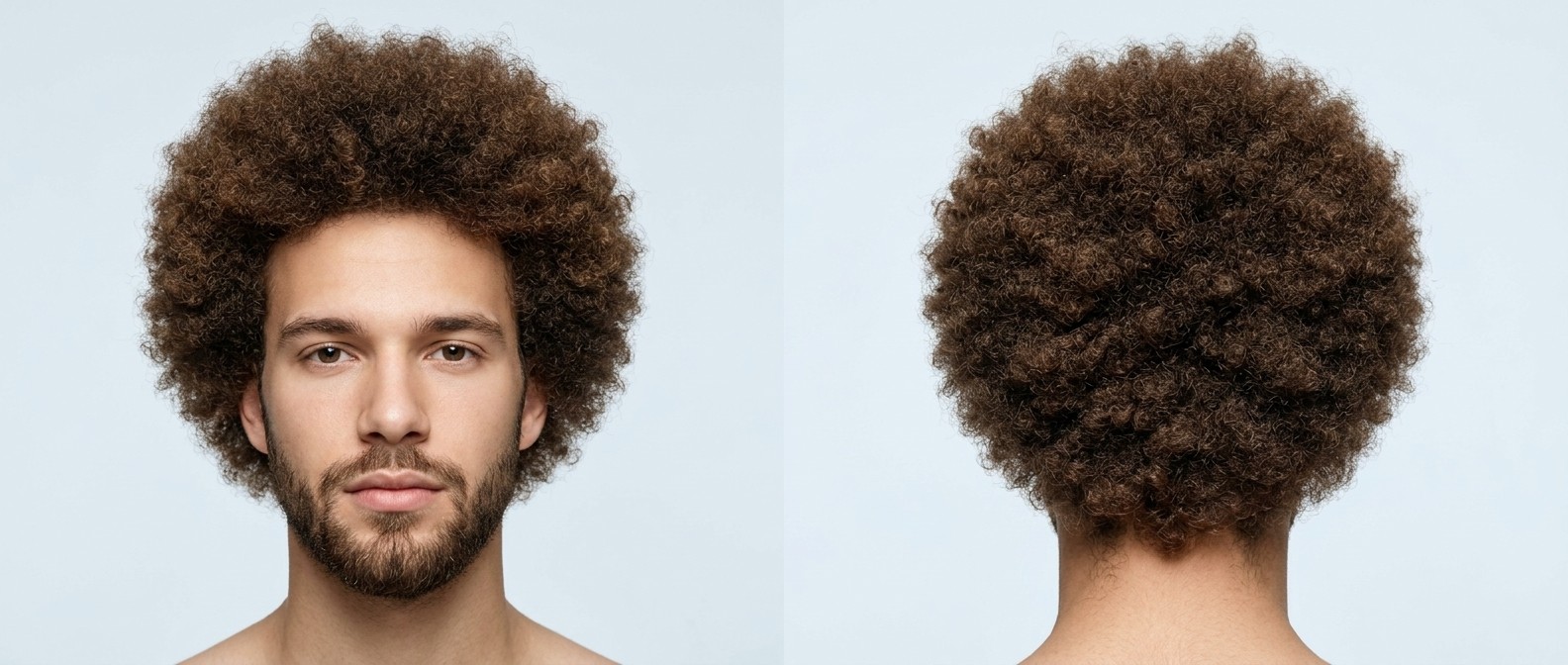 Front and back view of a young man with a classic, perfectly rounded brown Afro and a neatly trimmed short beard, showcasing natural Type 4 coils.