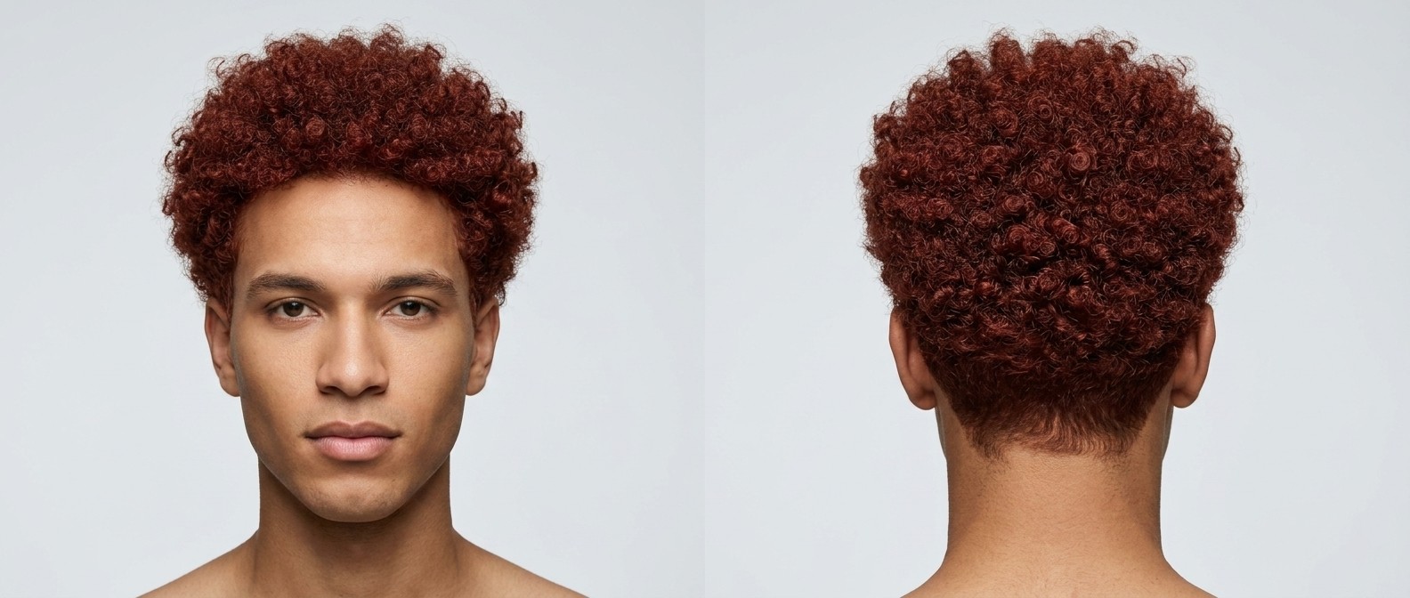 Young man with olive skin and no facial hair featuring a perfectly rounded, medium-length red afro with highly defined, tight Type 4 coils.